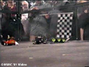 hon006.gif