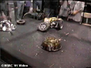 hon020.gif