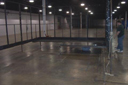 hon003.gif