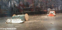 hon002.gif
